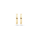 Blush earrings 14k gold 7202YGO