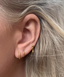 MIAB Earrings - Hanging Facet silver