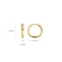 Blush oorringen 14k goud 7232YGO