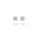 Blush earrings 14k gold 7127YZI