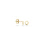 Blush oorbellen 14k goud 7244YGO