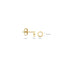 Blush earrings 14k gold 7244YGO