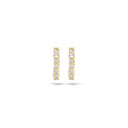 Blush earrings 14k gold 7134YZI