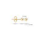 Blush oorbellen 14k goud 7120YGO