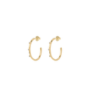 Anna + Nina Medium Lumière Hoop Oorbellen