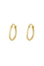 EARRINGS SHINY HOOPS