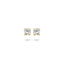 Blush oorbellen 14k goud 7212YZI