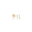 Blush oorbellen 14k goud 7251YGO