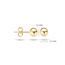 Blush oorbellen 14k goud 7122YGO