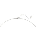 Stainless Steel Zilveren Ketting Locked In Love