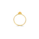 Blush ring 14k goud 1239YMC