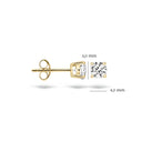 Blush oorbellen 14k goud 7127YZI