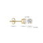 Blush earrings 14k gold 7127YZI