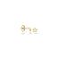 Blush oorbellen 14k goud 7248YGO