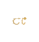 Anna + Nina Small Lumière Hoop Oorbellen