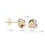 Blush oorbellen 14k goud 7157WYR