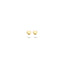 Blush oorbellen 14k goud 7245YGO