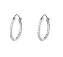 Stainless Stee Oorbellen Shiny Hoops