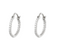 EARRINGS SHINY HOOPS