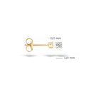 Blush oorbellen 14k goud 7138YZI