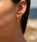 MIAB Oorbellen - Large Swirled Click Goud