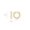 Blush earrings 14k gold 7230YGO