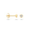 Blush oorbellen 14k goud 7214YZI
