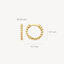 Blush earrings 14k gold 7264YGO