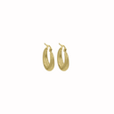 Stainless Steel Gouden Chunky Hoops  2.2cm