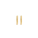 Blush earrings 14k gold 7265YGO