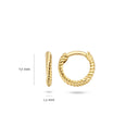 Blush oorringen 14k goud 7231YGO