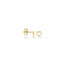 Blush oorbellen 14k goud 7246YGO