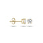 Blush oorbellen 14k goud 7127YZI