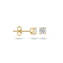 Blush earrings 14k gold 7128YZI