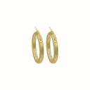 Stainless Steel Gouden Classic Hoops 4.0cm