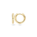 Blush oorringen 14k goud 7133YGO