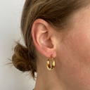 Stainless Steel Zilveren Chunky Hoops 2.2cm