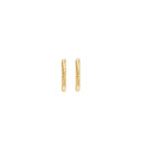 Blush earrings 14k gold 7266YGO