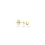 Blush oorbellen 14k goud 7243YGO
