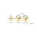 Blush oorbellen 14k goud 7123YGO