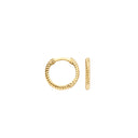 Blush earrings 14k gold 7266YGO