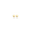 Blush oorbellen 14k goud 7243YGO