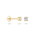 Blush earrings 14k gold 7212YZI