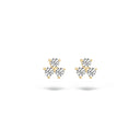 Blush earrings 14k gold 7197YZI