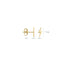 Blush earrings 14k gold 7249YGO