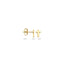 Blush oorbellen 14k goud 7252YGO
