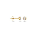Blush earrings 14k gold 7241YZI