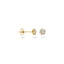 Blush oorbellen 14k goud 7241YZI
