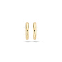 Blush earrings 14k gold 7133YGO