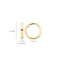 Blush earrings 14k gold 7202YGO